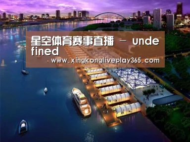 案例展示八